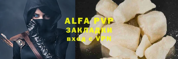 прущие грибы Нягань